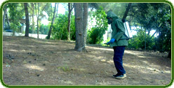 Control de malas Hierbas Control de malas hierbas
