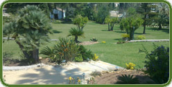 Fumigaciones de árboles y plantas Fumigación integral de jardines